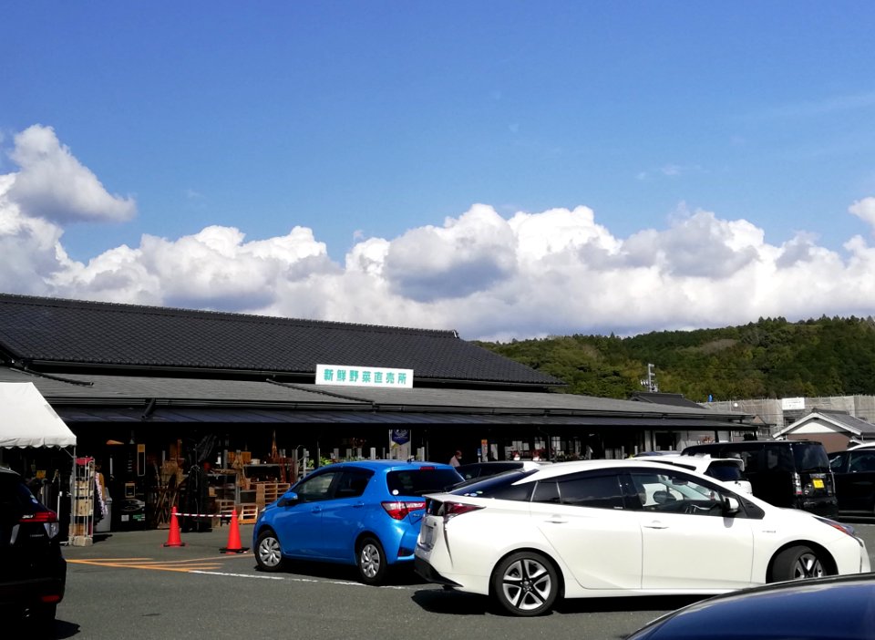 Kontaku Nagashino 20210320