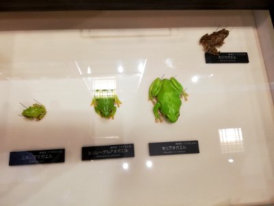 Lake Biwa Museum 20201004 01