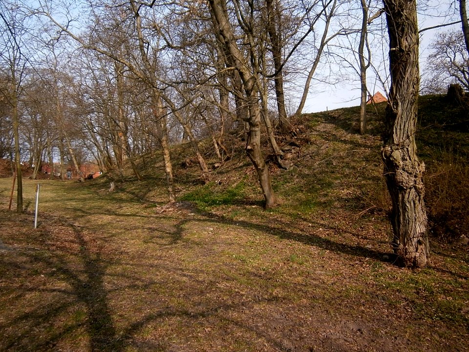 KlosterBroda8