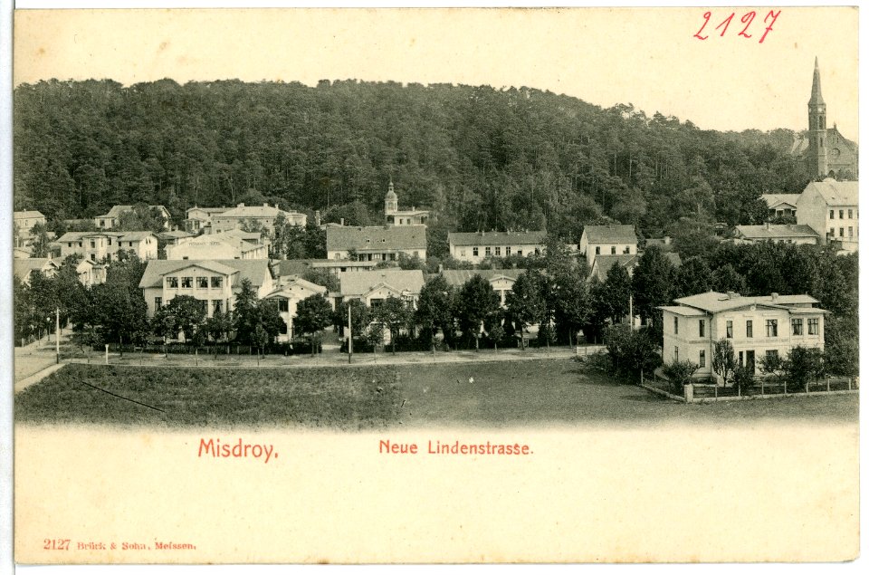 02127-Misdroy-1901-Neue Lindenstraße-Brück & Sohn Kunstverlag