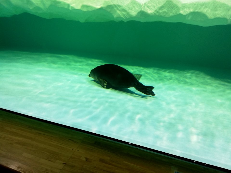 Lake Biwa Museum 20201004 14