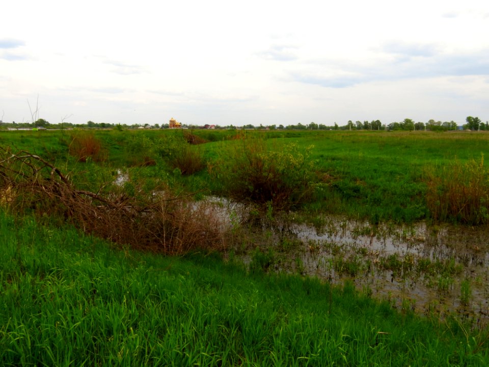 Krynka lake4