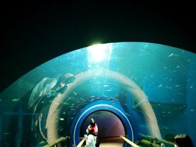 Lake Biwa Museum 20201004 04