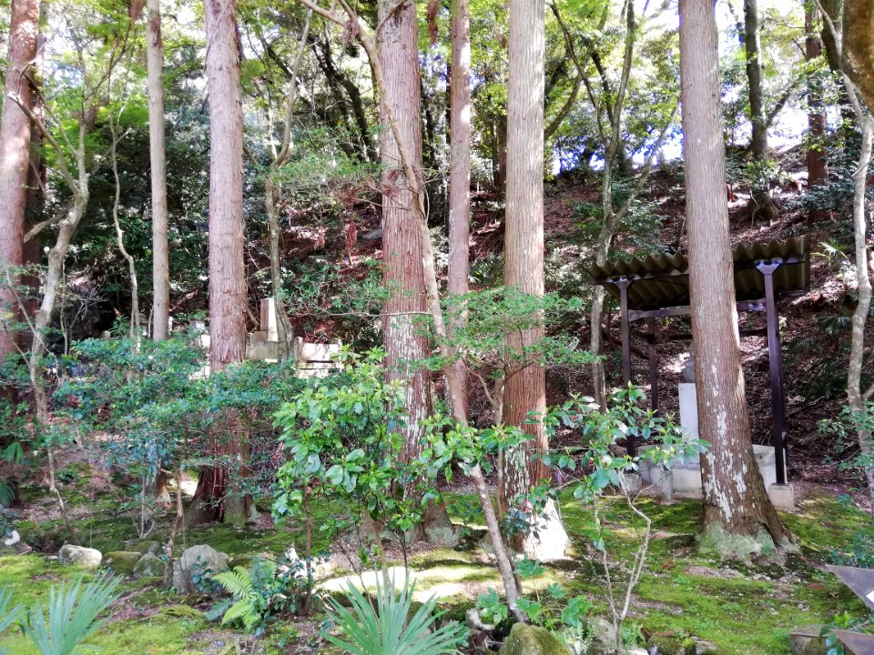 Kōtokusan Ryōtan-ji Temple 20210411 06