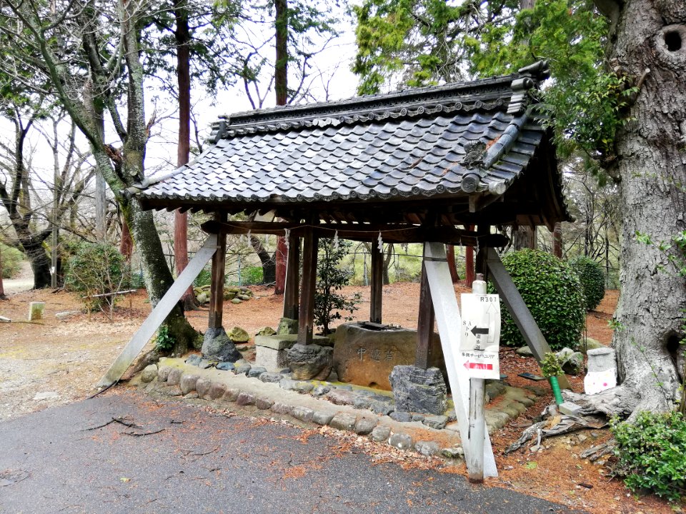 Konomiya Shrine 20210306 06