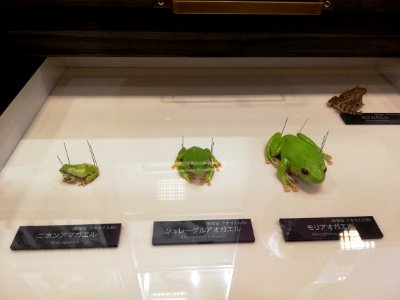 Lake Biwa Museum 20201004 02
