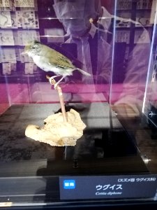 Lake Biwa Museum 20201004 03