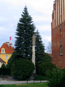 Kościół NMP Poznań posąg 02