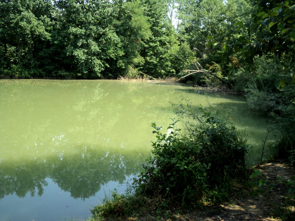 Jezero broj 9 jezera Šljunčare Ozalj