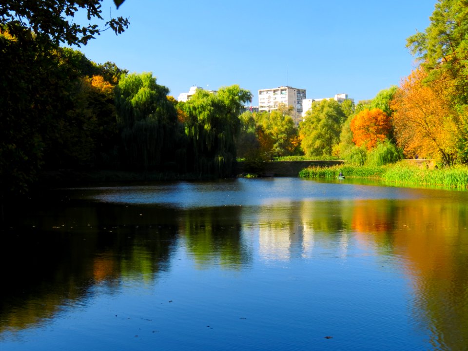 Horikhuvatka pond№2-2
