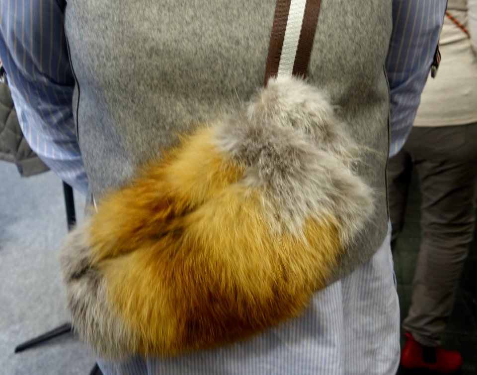 Jagd & Hund, 2020, Pelz (079)
