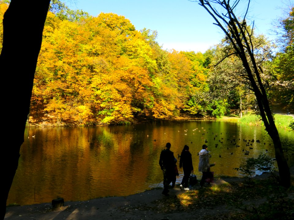Horikhuvatka pond№3-1