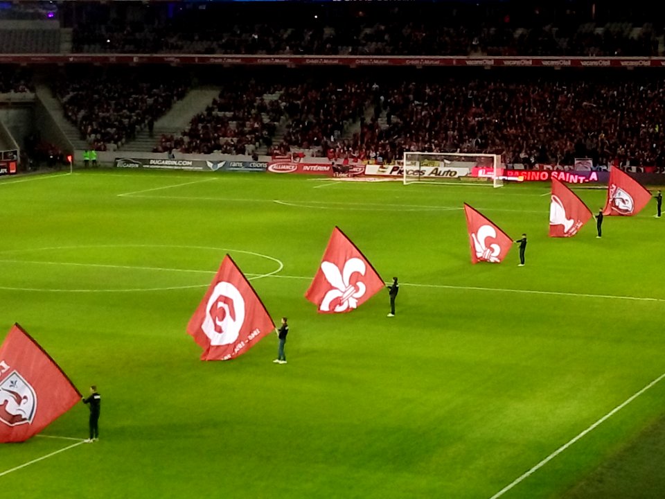 Lille - Saint-Etienne (13-01-2017) 29