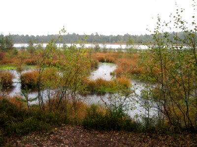Grundloses Moor 1