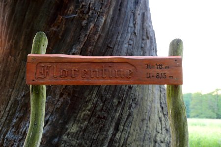 Byttna Florentine Namenstafel 03