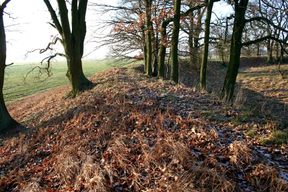 Burgwall Netzeband3