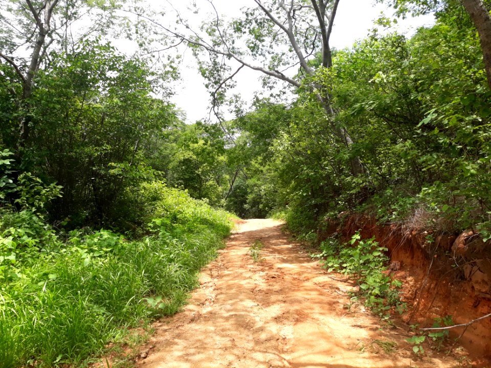 Caatinga hiperxerófila, Encanto (RN)