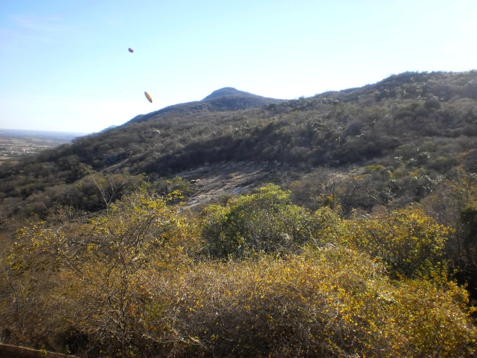 Caatinga na Serra de Patu, RN