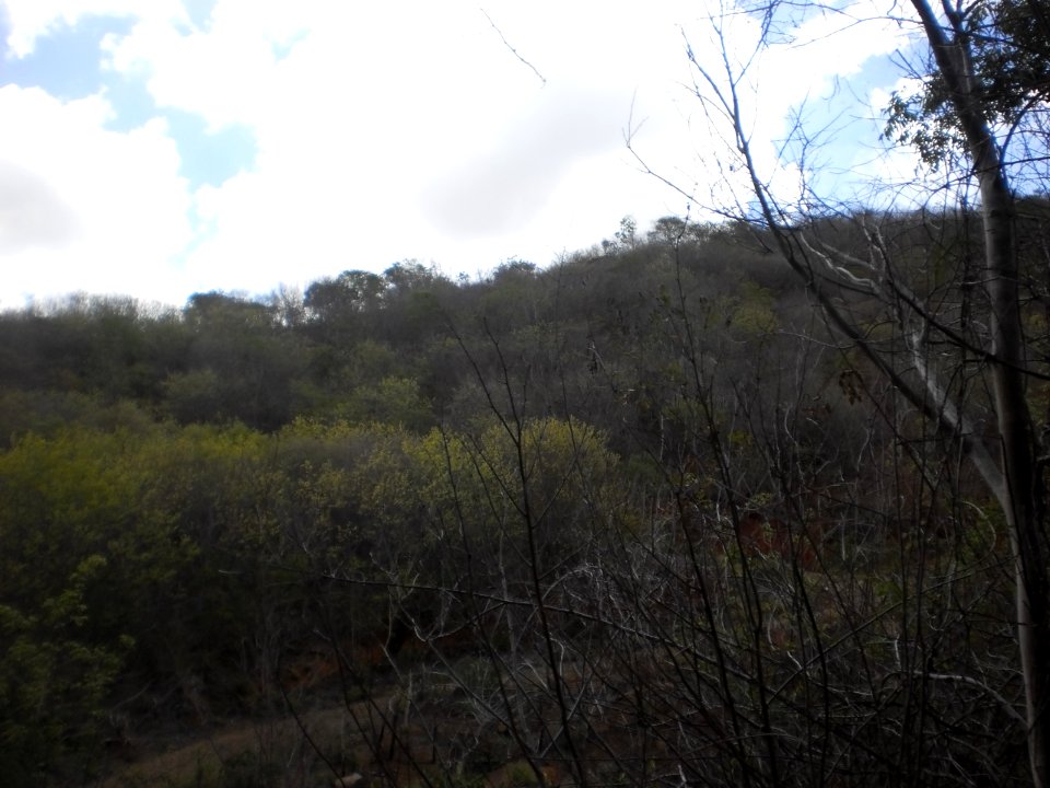 Caatinga, Doutor Severiano (RN)