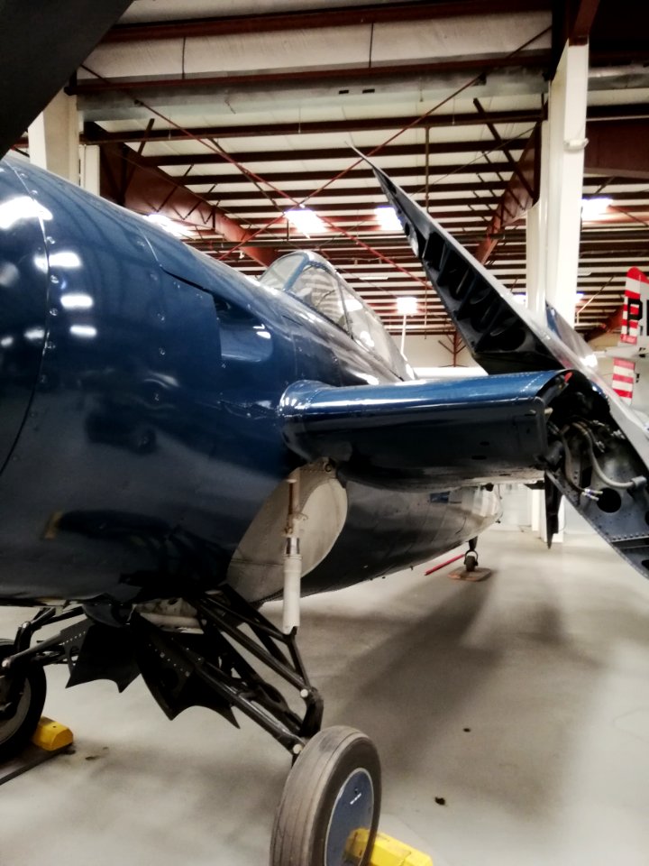 General Motors FM-2 Wildcat ‘85564’ (N4692V) (48064560622)