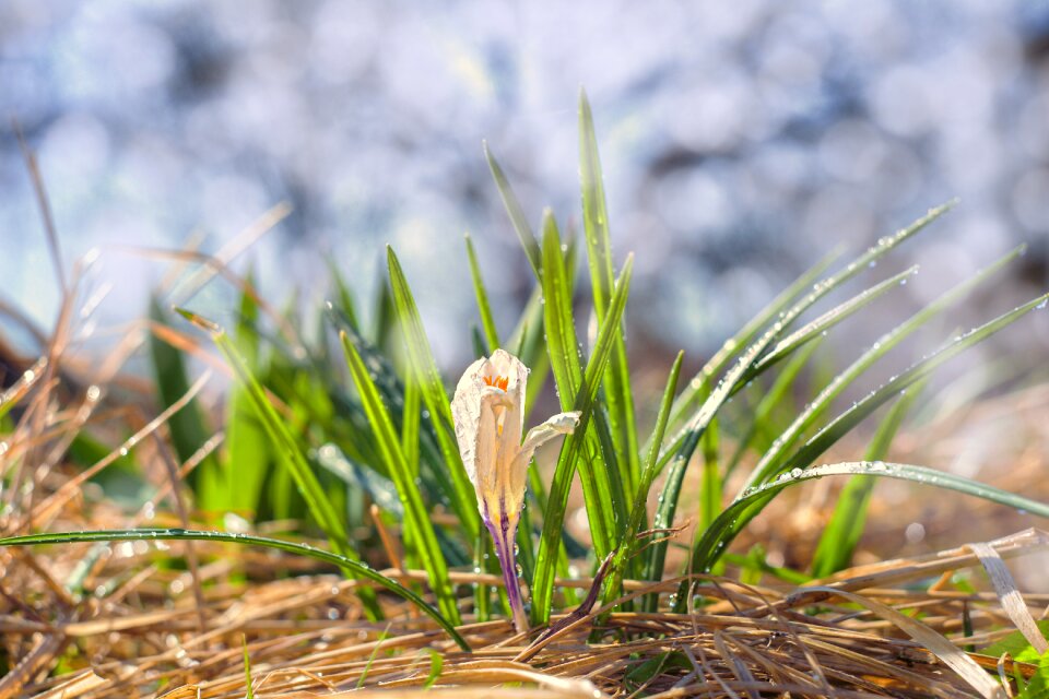 Outdoors season environment