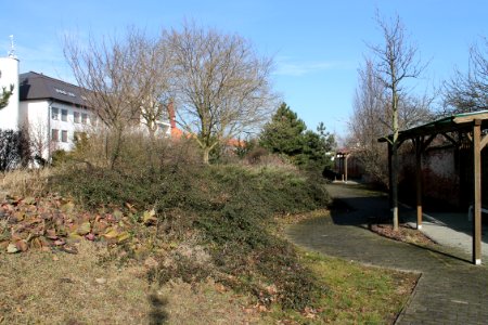 Garden 5312