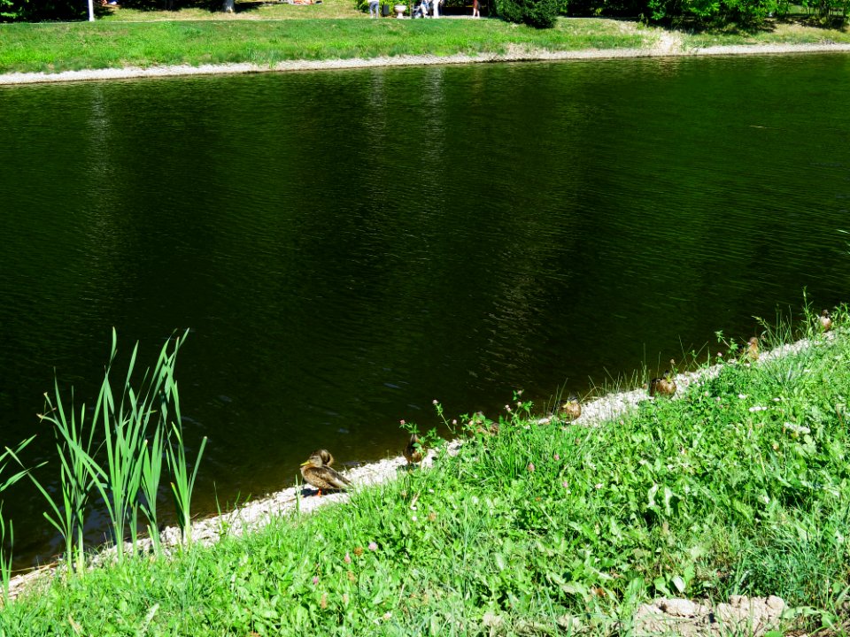 Feofania park16