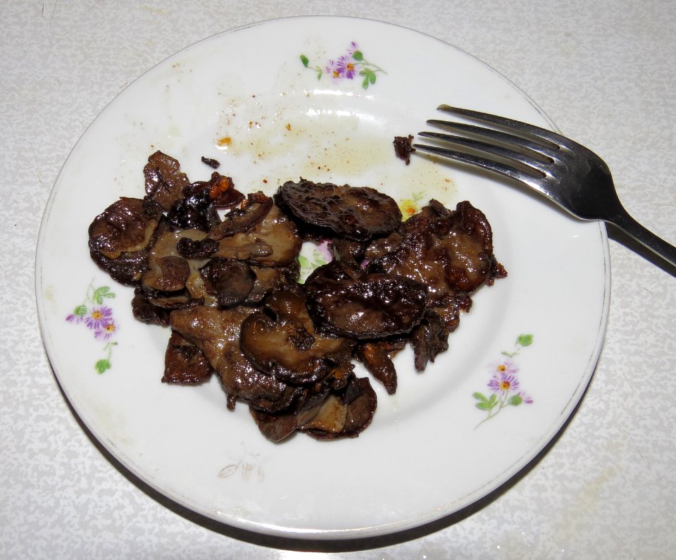 Discina ancilis cooking3