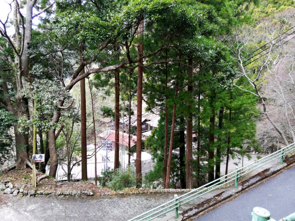 Engonsan Hōrai-ji Temple 20210320 02