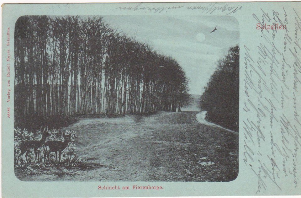 D-NW-Bad Salzuflen - Vierenberg, Mondscheinkarte