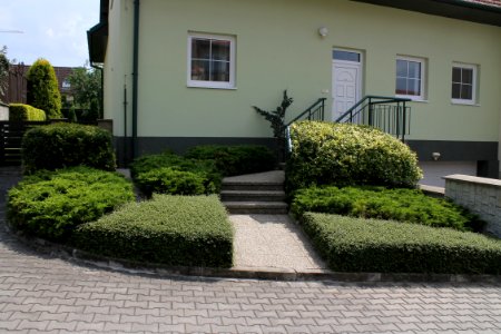 Contemporary garden 9997