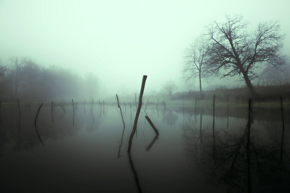 Water river trees