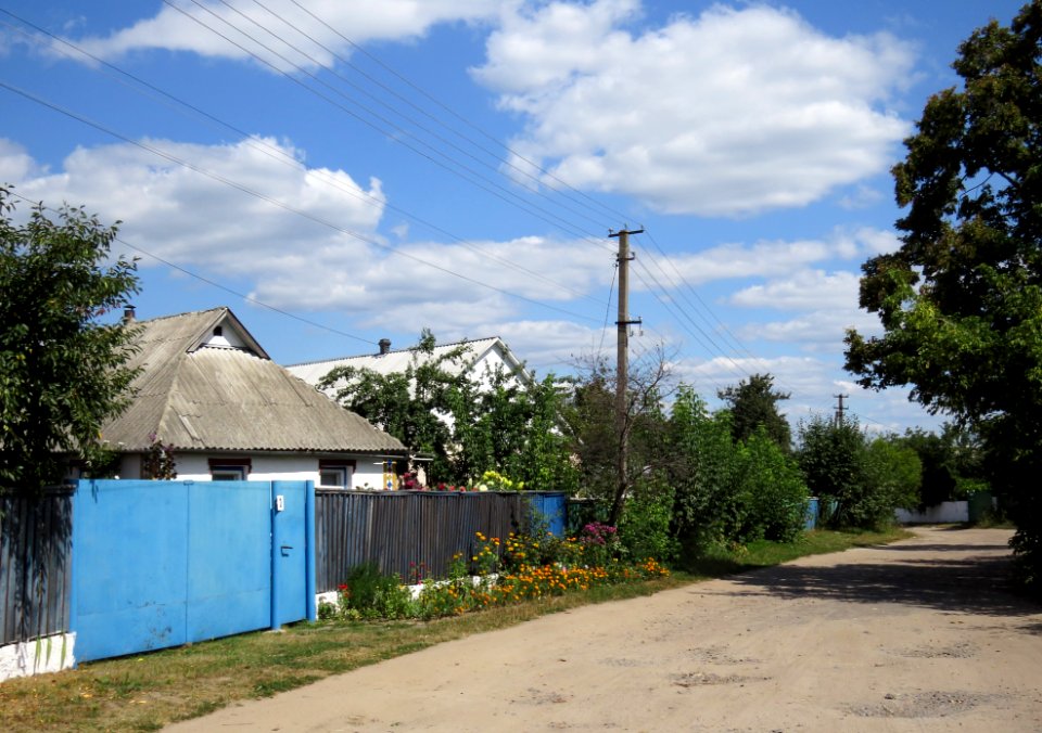 Dmytrivka (Fastiv) Pushkin bs