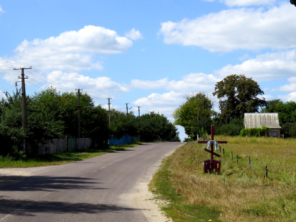 Dmytrivka (Fastiv) Shevchenko st1