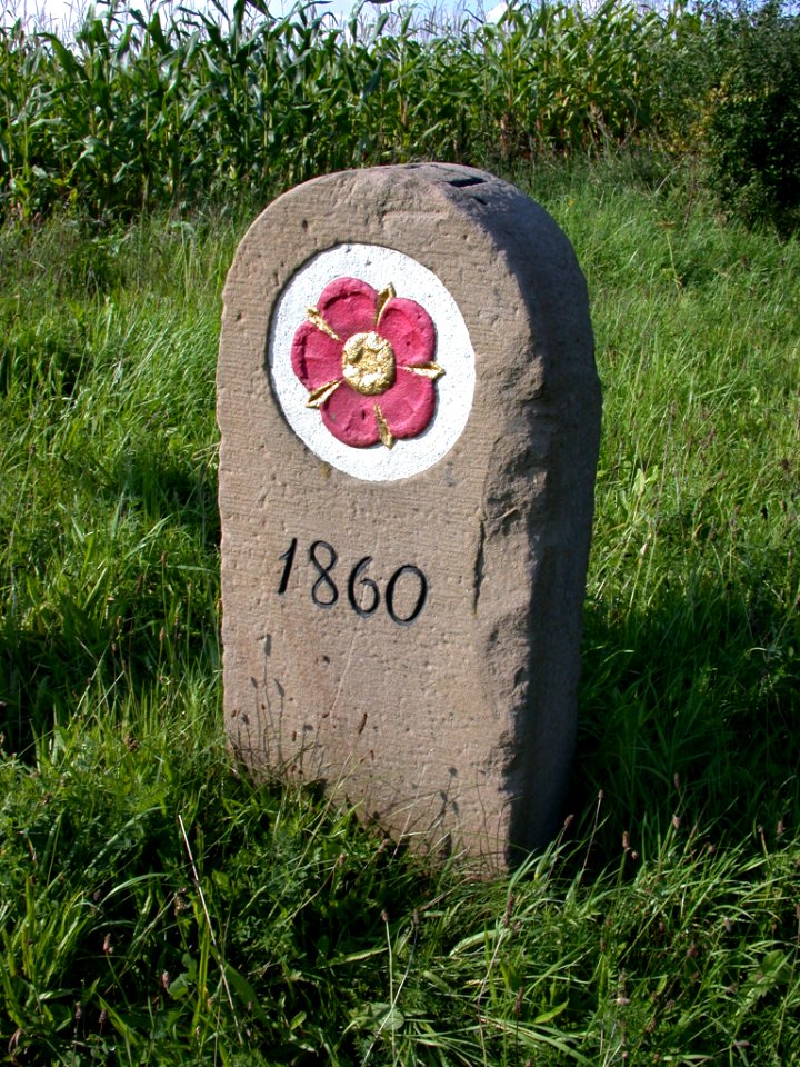 D-NW-Bad Salzuflen-Wüsten - Grenzstein (klein) in Pehlen