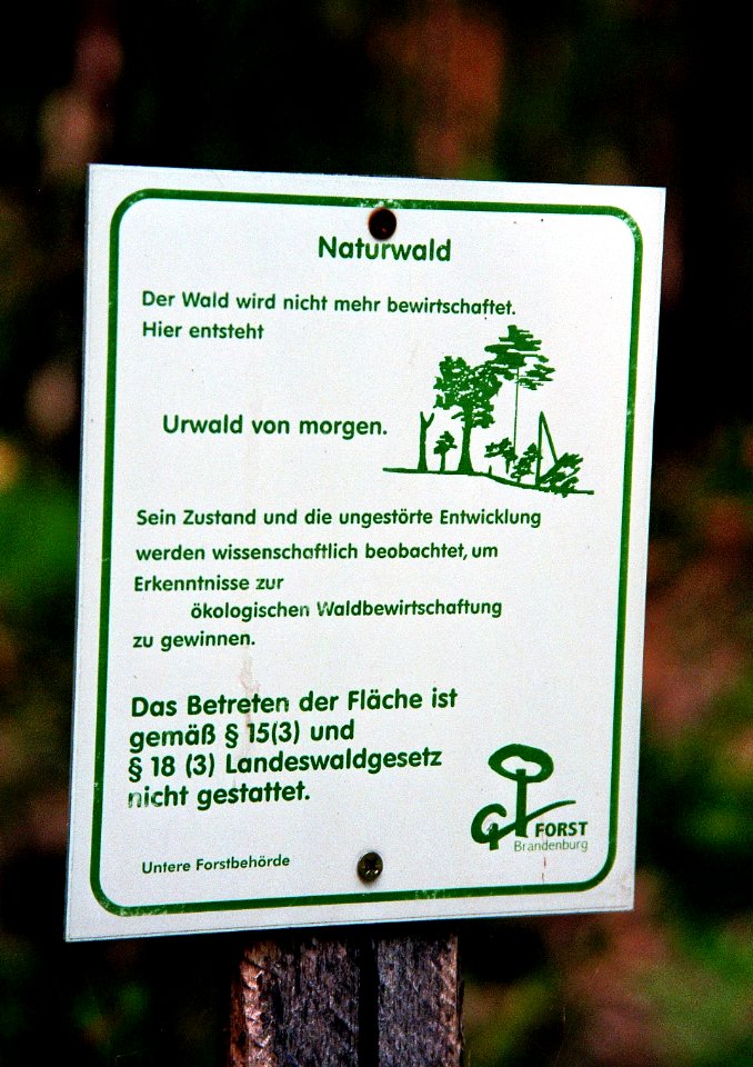 Tauersche Eichen 5