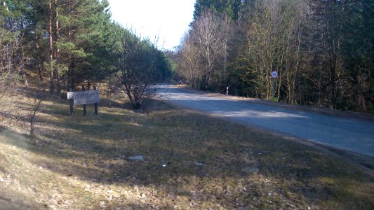 Rokantiškės Cemetery 18