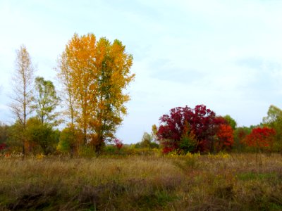 Vyshcha Dubechnya Autumn 1