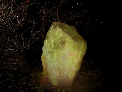 Vyšehradký menhir