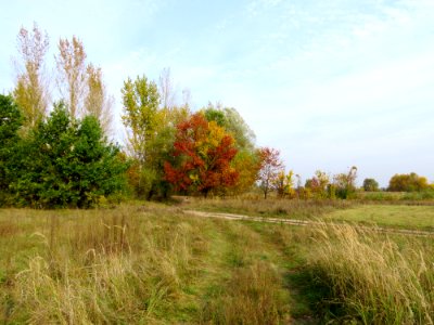Vyshcha Dubechnya Autumn 2