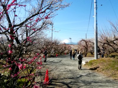 Soga-bairin 20210211 02