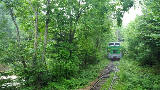 Vyhoda train under a bridge