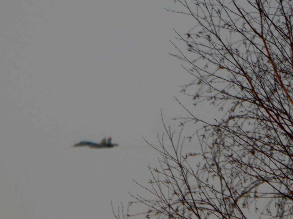 Trees and Su-34 (14)