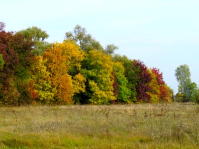 Vyshcha Dubechnya Autumn 6