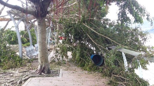 Typhoon-Hato-in-Macao 20170825-151426