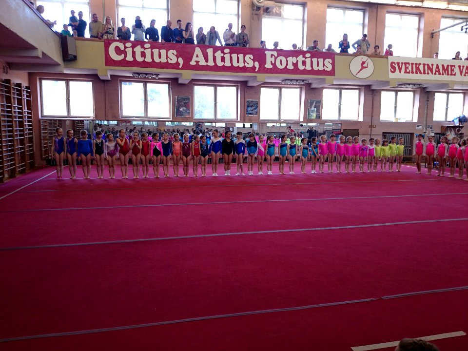 Vilnius gymnastic school 1