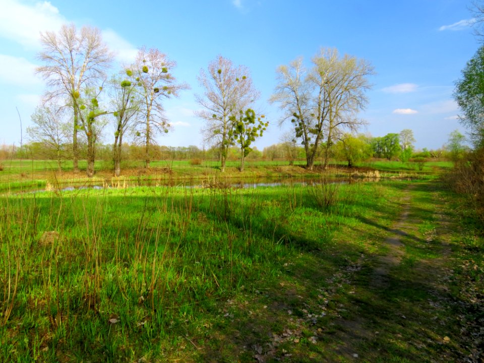 Muromets island lake2