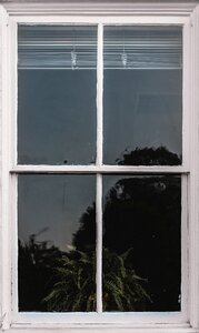 House reflection trees