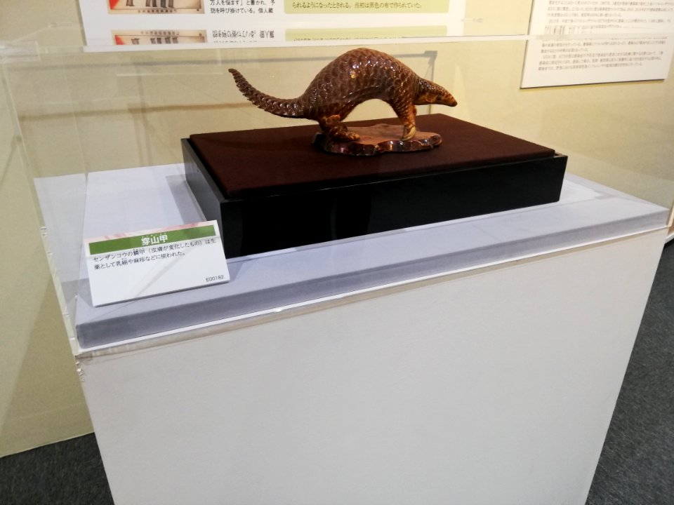 Naitō Museum of Pharmaceutical Science and Industry 20210529 24