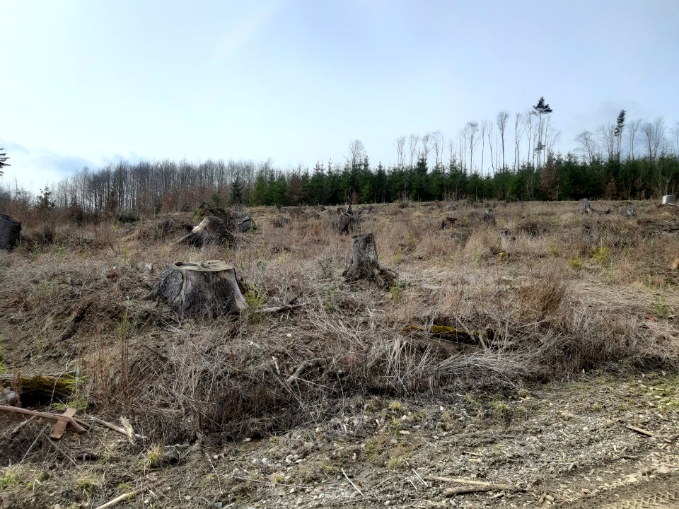 Luhačovice - okruh Dušana Jurkoviče 20210328 135717